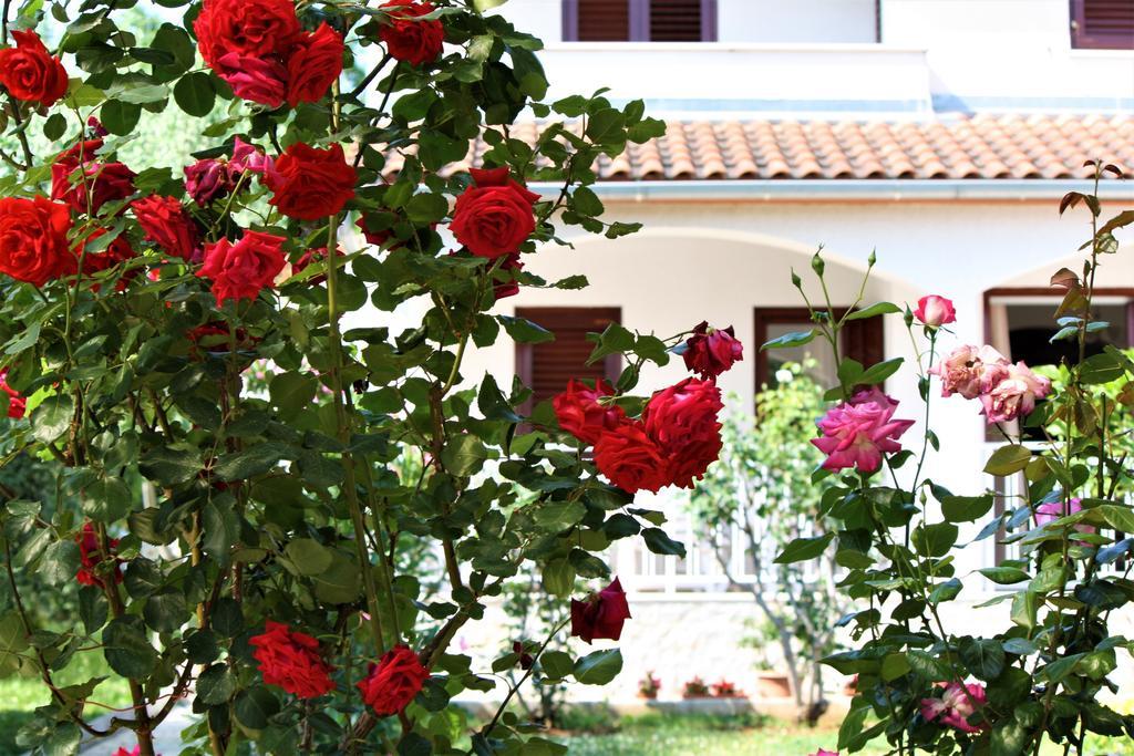 Holiday Home Magnolia Tar-Vabriga Esterno foto